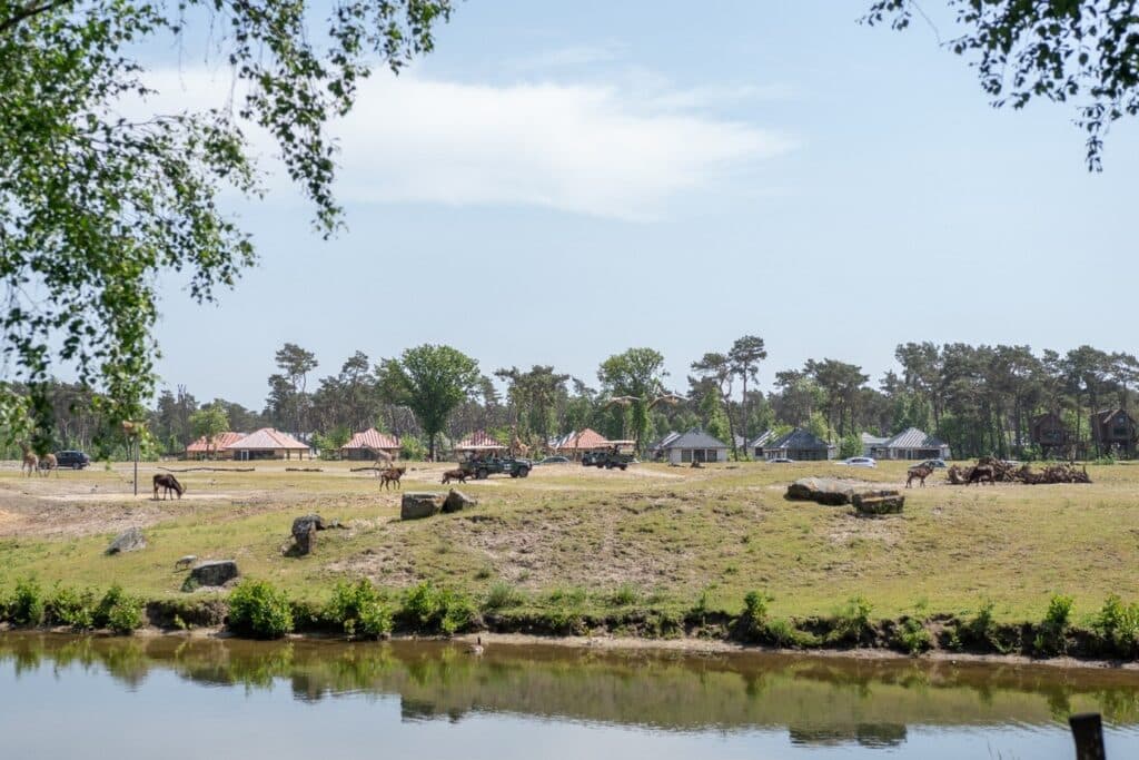 Safari Verwendag